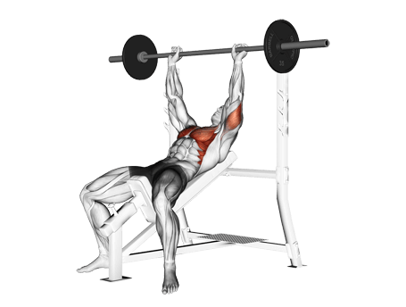 Chest Press-Incline Exercises