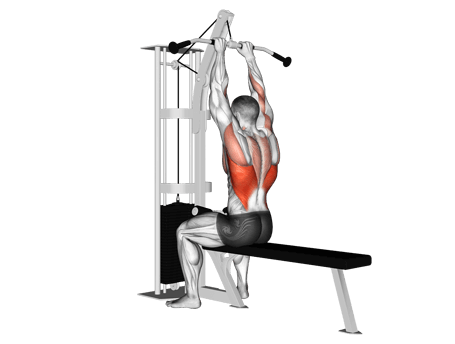 Lat Pulldown-Seated Exercises