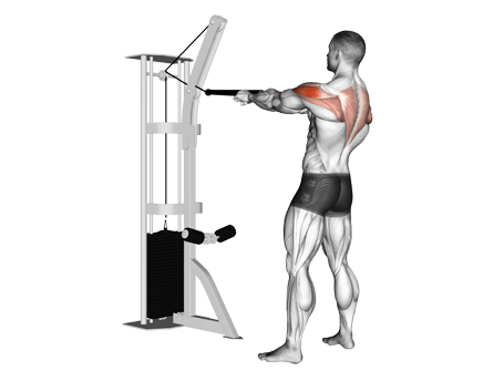 Row-Standing-Cable Exercises