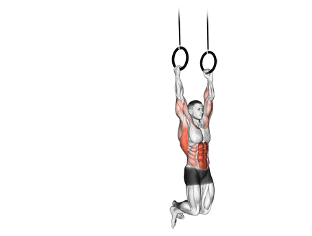 Muscle Up Exercises