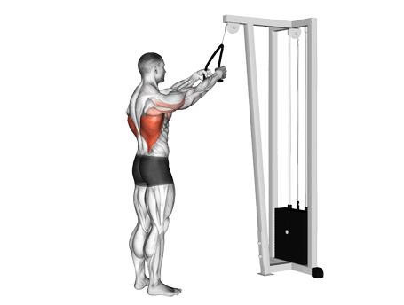 Lat Pulldown-Standing Exercises
