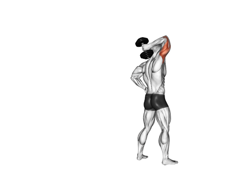Triceps Extension-standing-overhead Exercises