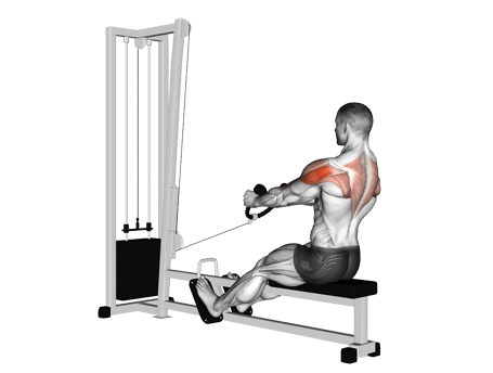 Row-Seated-Cable Exercises