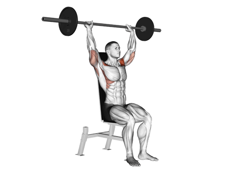 Shoulder Press-Seated Exercises