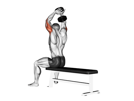 Triceps Extension-sitting-overhead Exercises