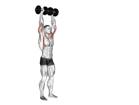 Shoulder Press-Standing Exercises