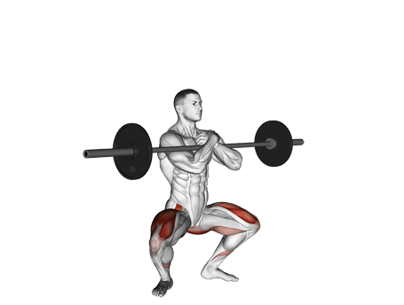 Squat-Front Exercises